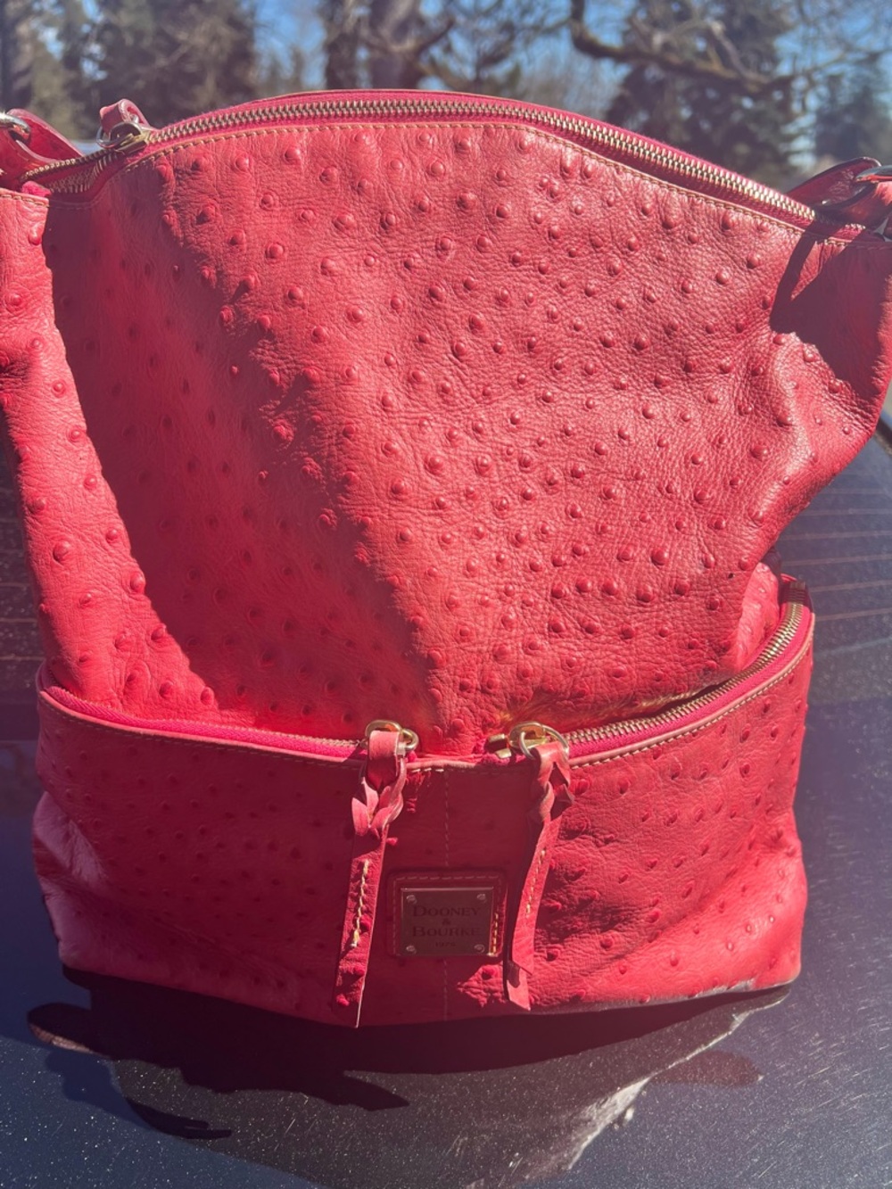 Dooney & Bourke Large Pink Ostrich Pocket Sac shoulder bag